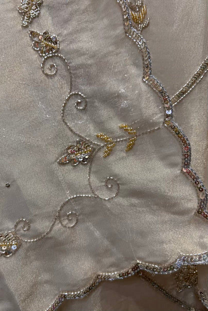Naqshnandh Organza Suit