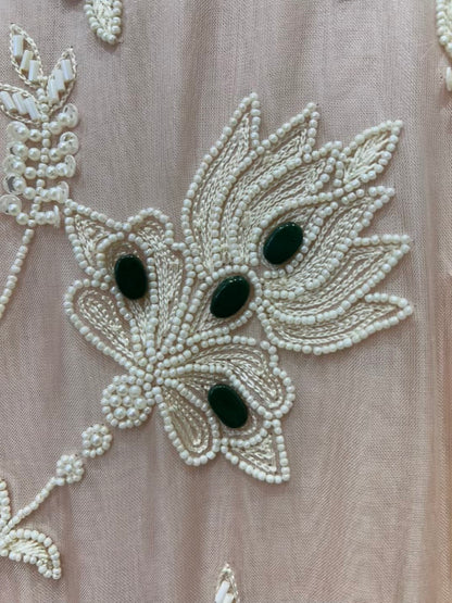 Avni Allure Organza Suit