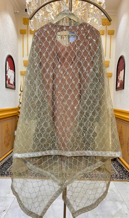Mehrunnisa Mirror Gharara Set (Peach)
