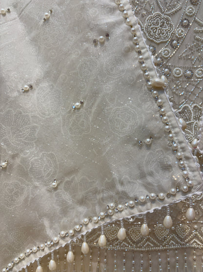 Aurelia Handcrafted Organza Suit