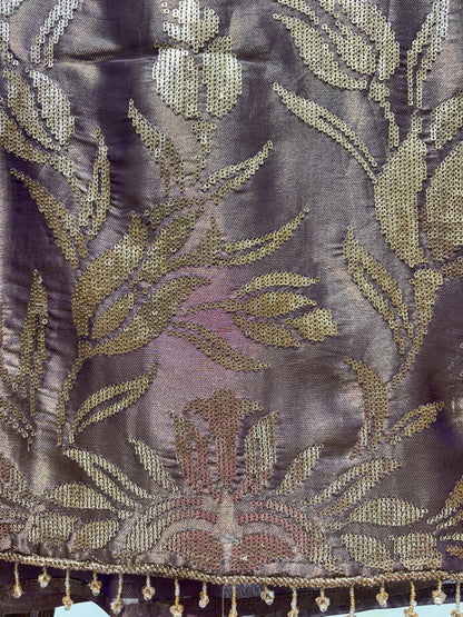 Seherza Organza Suit