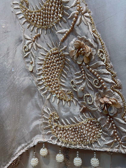 Aarini Handcrafted Organza Suit