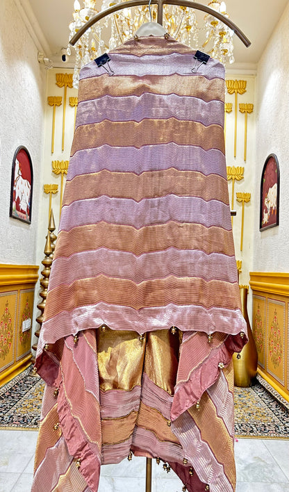 Ridhanya Tissue Silk Suit