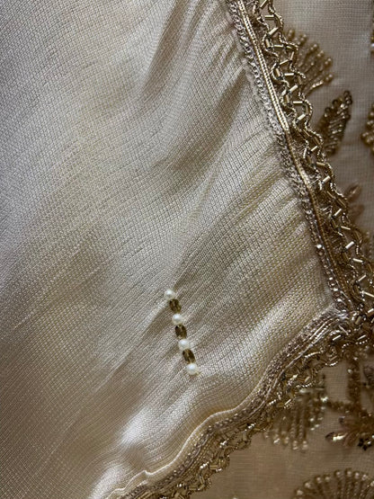 Aarini Organza Grace Suit