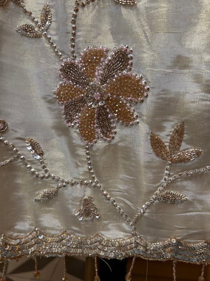 Chamak Dhaara Suit