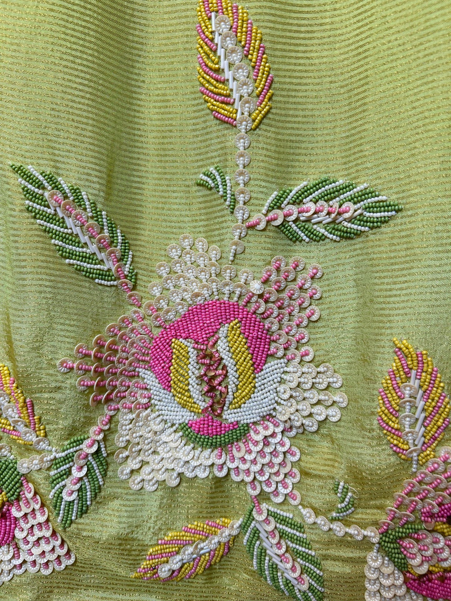 Aviraah Organza Suit (Green)