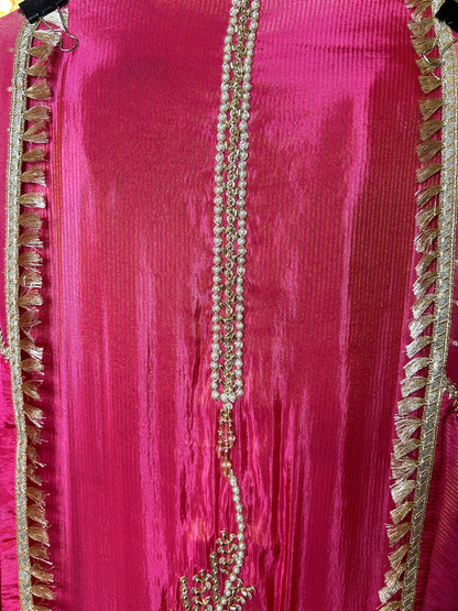 Chamakra Organza Suit (Pink)