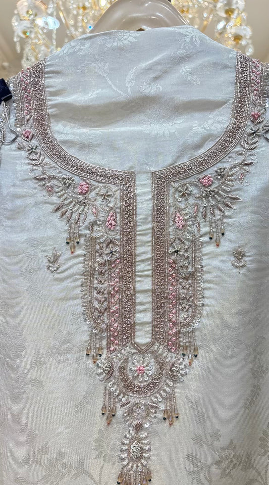 Evara Shimmer Organza Suit