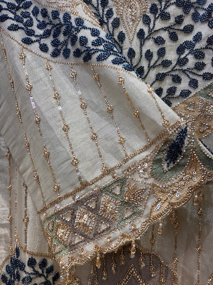 Vaanya Organza Elegance Set
