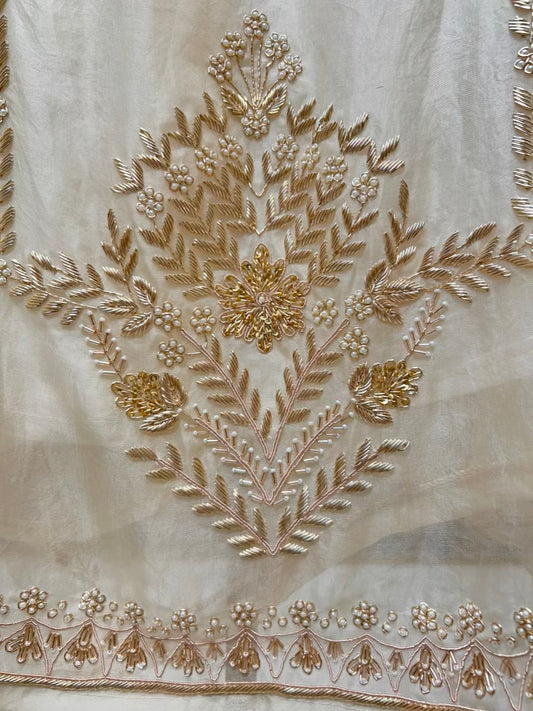 Aafreen Moti Zari Organza Suit