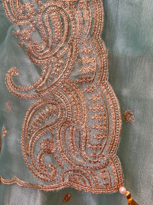 Zehnara Tissue Organza Suit (Light Green)