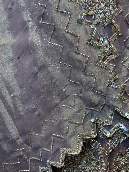 Lumina Organza Suit (Peach)