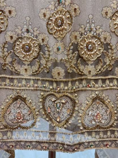 Nayroza Organza Suit