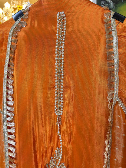 Chamakra Organza Suit (Orange)