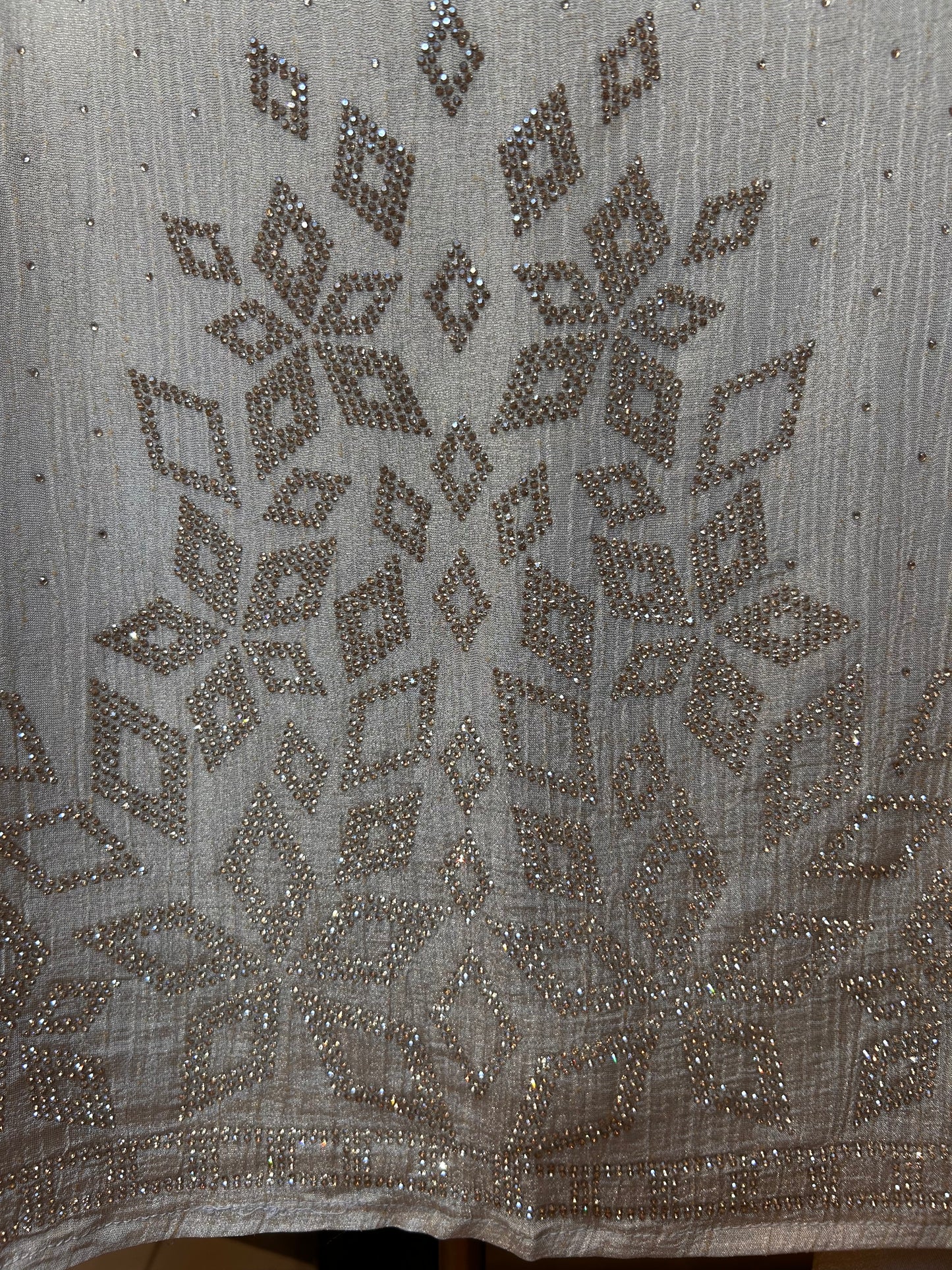 Aureliya Organza Suit