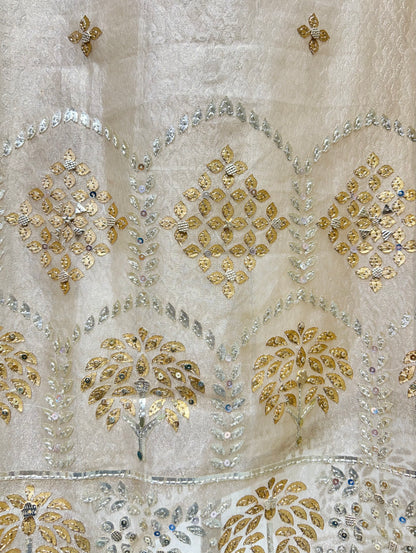 Zarmeiraa Tissue Organza Suit