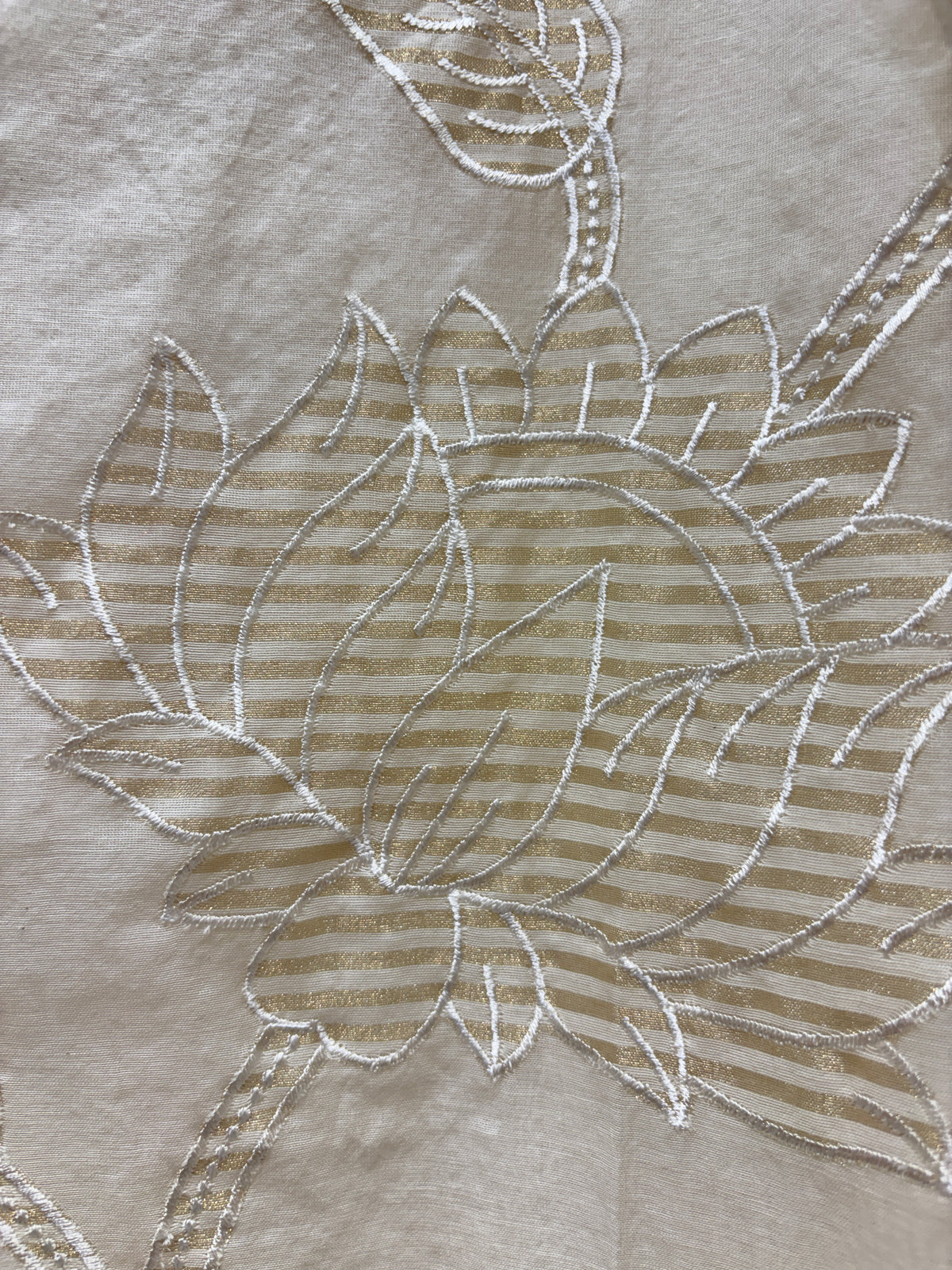 Banira Chanderi Grace Suit