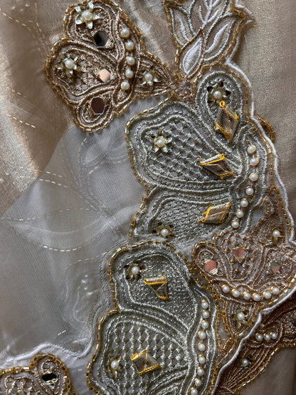 Sitayah Organza Suit