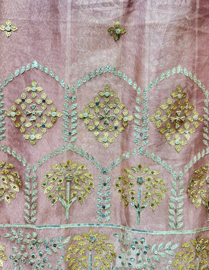 Zarmeiraa Tissue Organza Suit