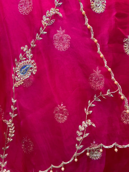 Raziaan Organza Suit