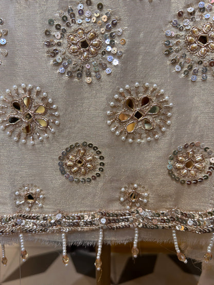 Roshniya Organza Suit