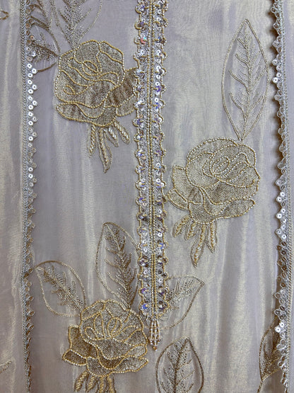 Ziya Banarasi Set