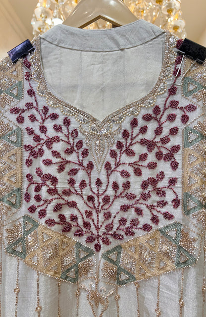 Vaanya Organza Elegance Set