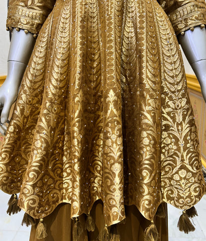 Rajnika Sharara Set