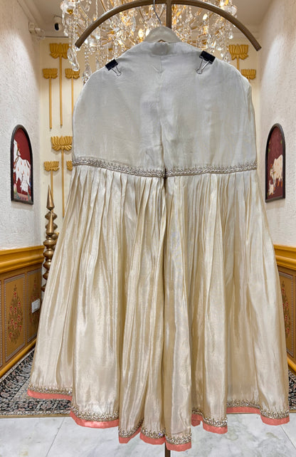 Inaya Organza Sharara Set