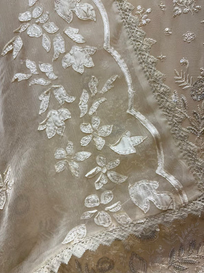 Mehrnaz Zari Georgette Suit