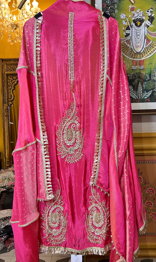 Chamakra Organza Suit (Pink)