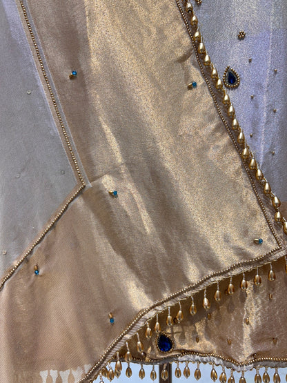 Moti Noor Organza Suit