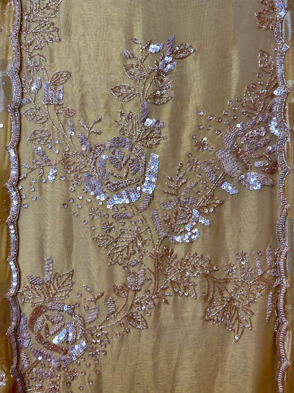 Amaira Shimmer Organza Suit