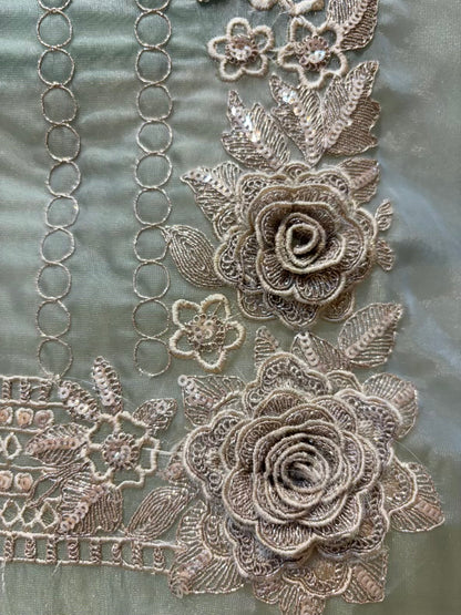 Ziana Zari Organza Suit