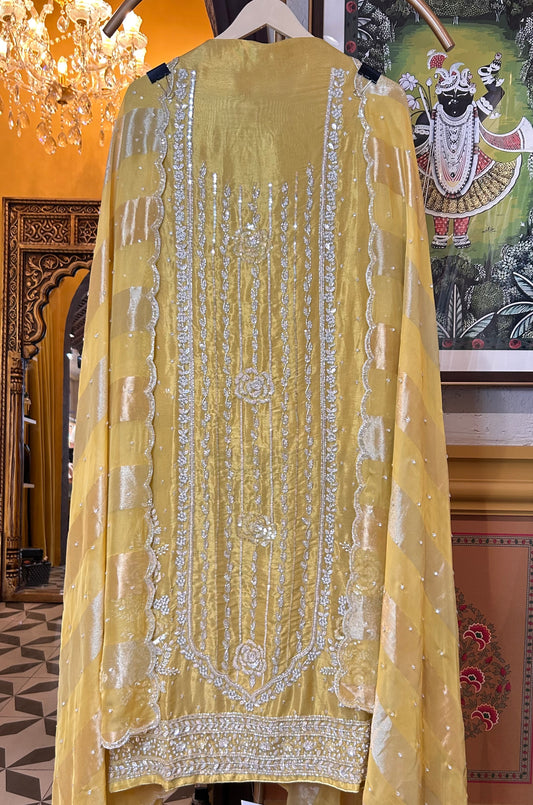 Eshita Shimmer Organza Suit