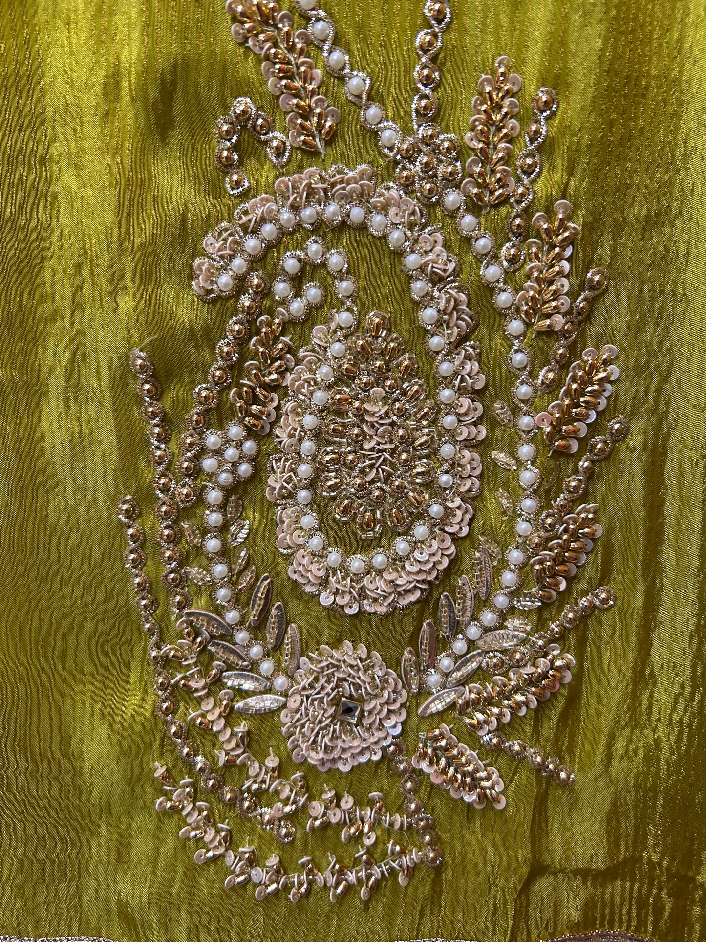 Chamakra Organza Suit (Green)