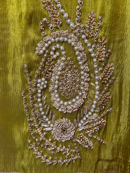 Chamakra Organza Suit (Green)