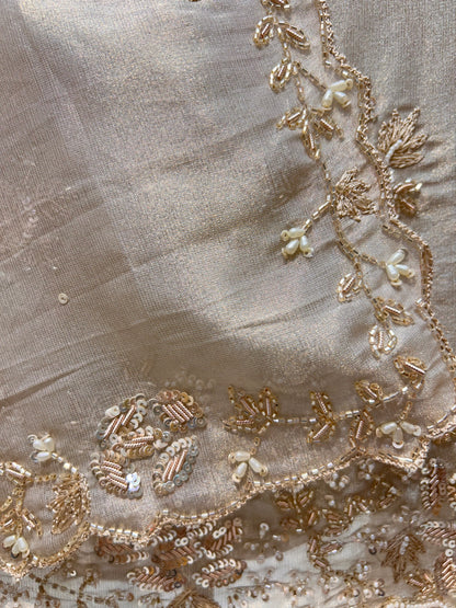 Ameya Organza Suit