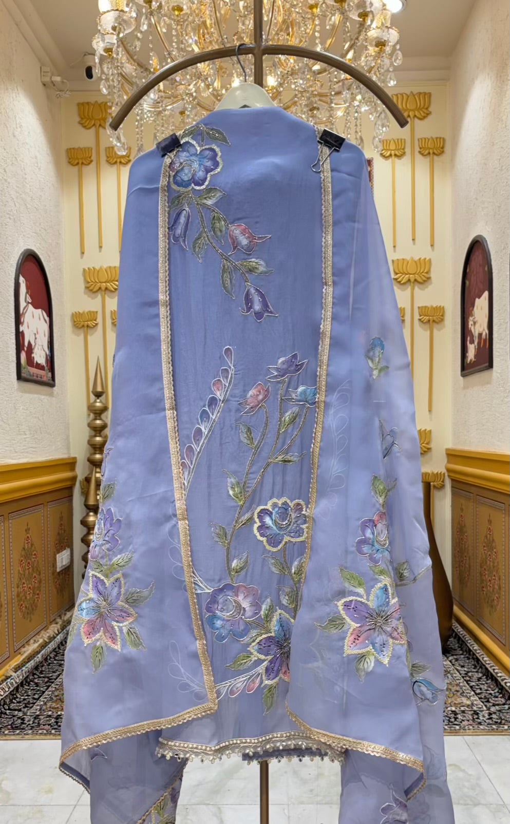Vrinda Handpaint Organza Suit