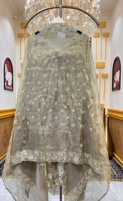 Sarvanya Noor Suit (Beige)