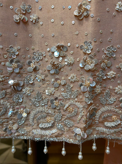 Ishvani Organza Suit (Peach)