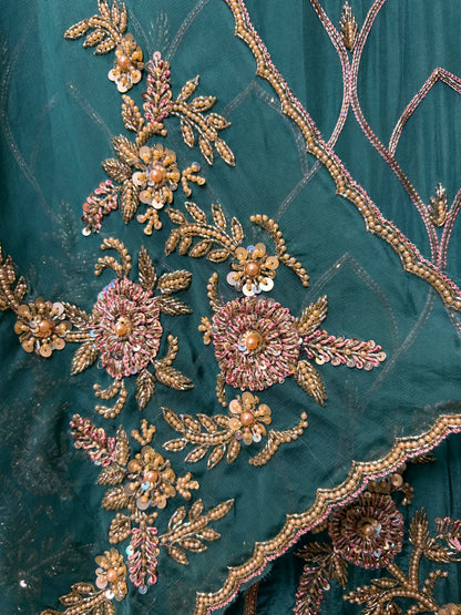 Inaaya Organza Suit (Firozi)