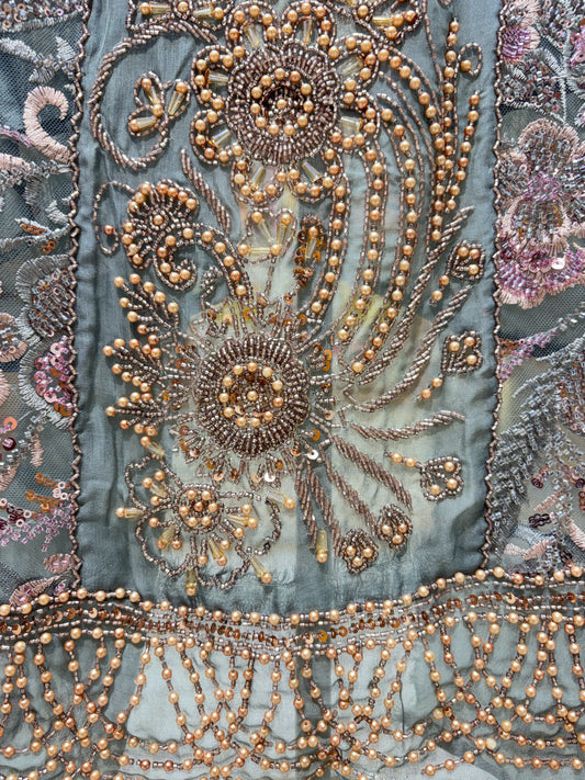 Aabira Organza Grace Suit
