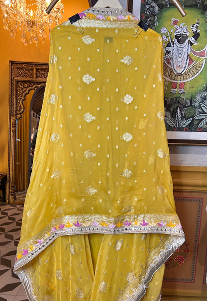 Ziya-e-Naaz (Yellow)