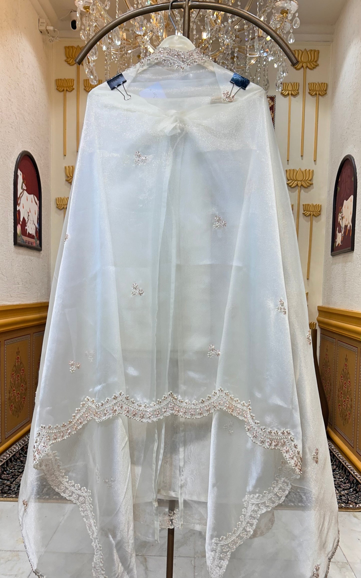 Elina Crush Karigari Suit (Ivory)
