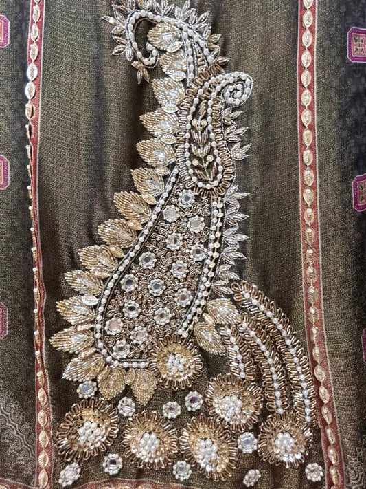 Aamira Handcrafted Organza Suit