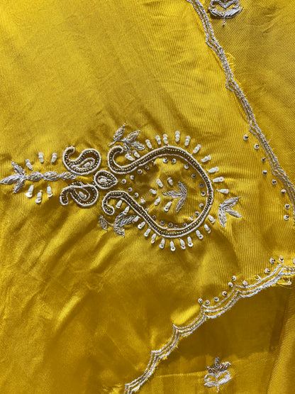 Shabnoor Organza Suit