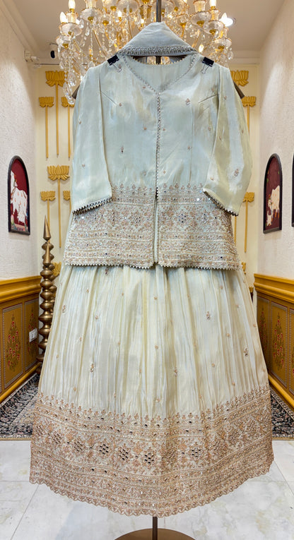 Tara Shimmer Lehenga Set
