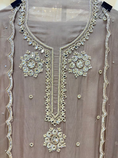 Zivaira Cutdana Organza Suit