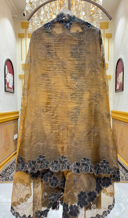 Ruhzeen Pakistani Suit